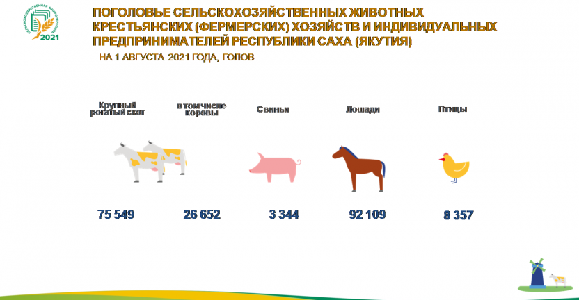 Предварительные итоги сельскохозяйственной микропереписи 2021 года: Поголовье сельскохозяйственных животных в крестьянских (фермерских) хозяйствах и ИП